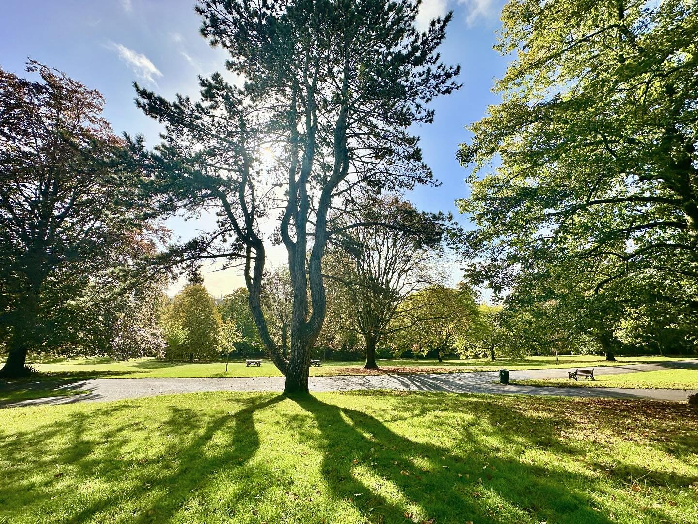What a beautiful afternoon for another location photoshoot at Belle-vue