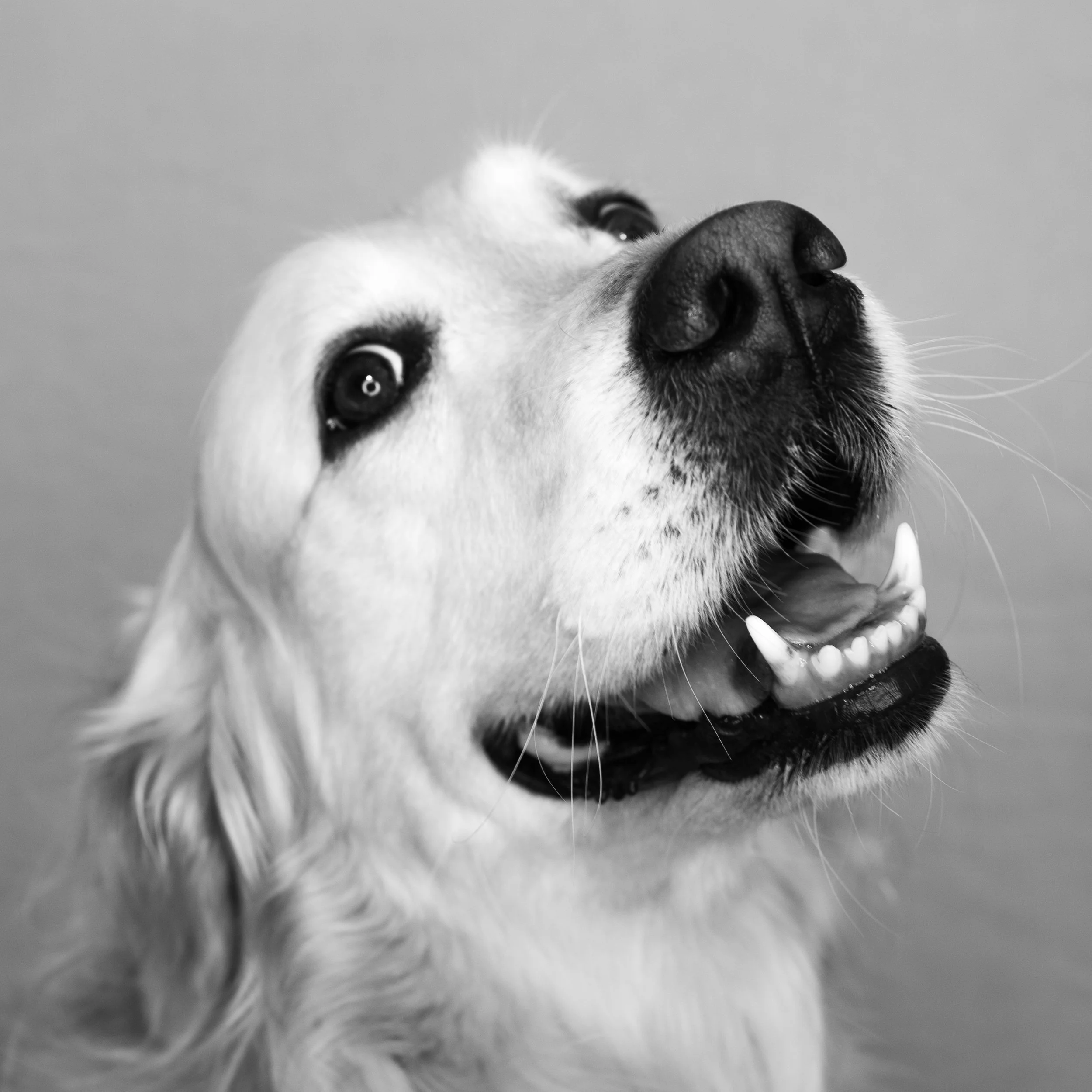 funny face girls (4 of 6).jpg