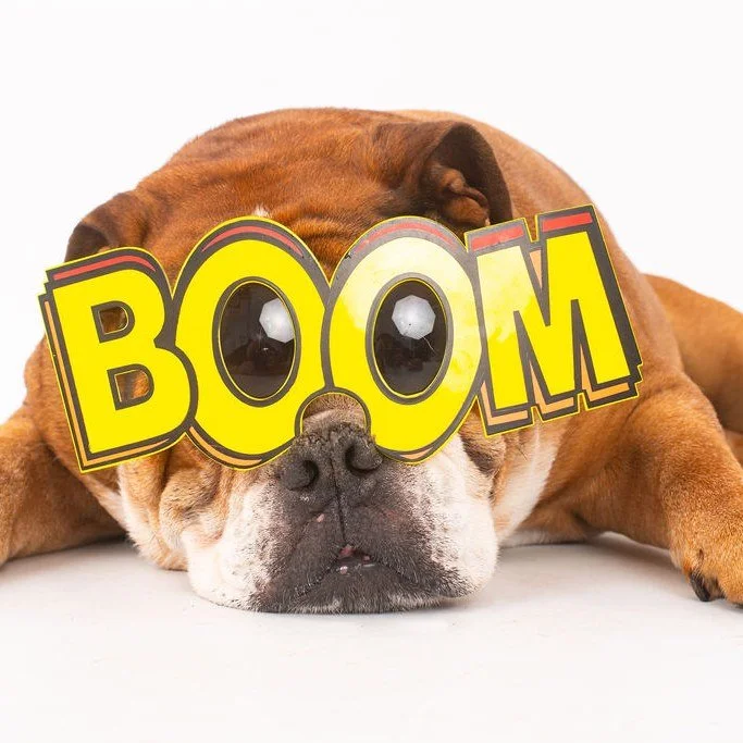 ⭐Pampered Pets Photography weekend⭐
🐾We are offering you and your pets a family photoshoot for just &pound;49.00 on the weekend of the 21st and 22nd of February.
 📸All digital images are included within this one off payment.
🏠We can offer a studio