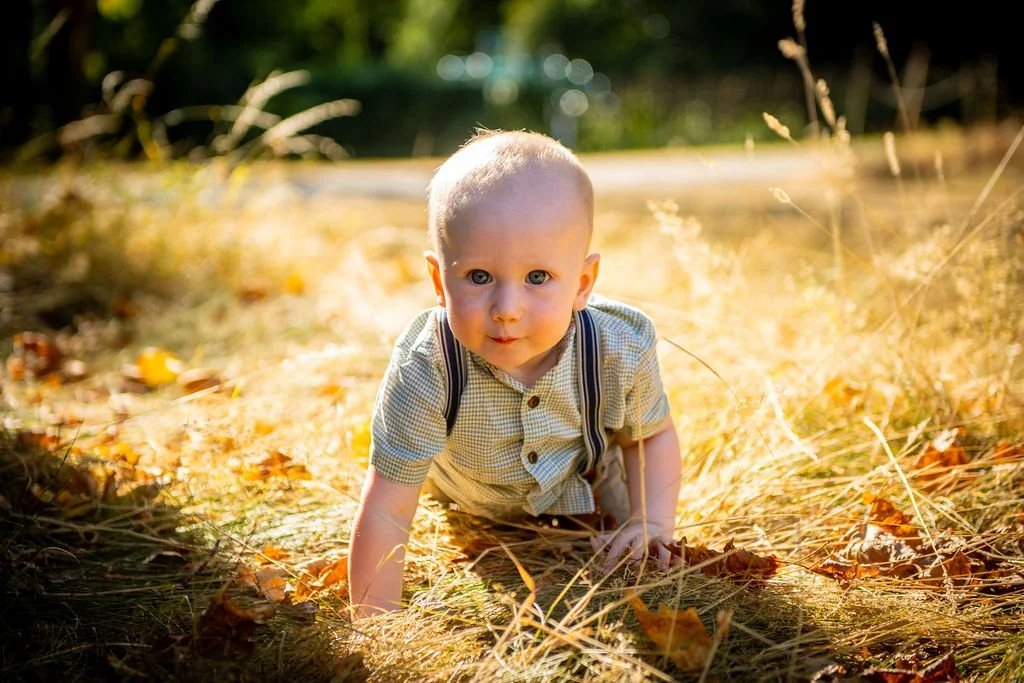 Affordable outdoor family portrait session at Margam Park with local South Wales photographer