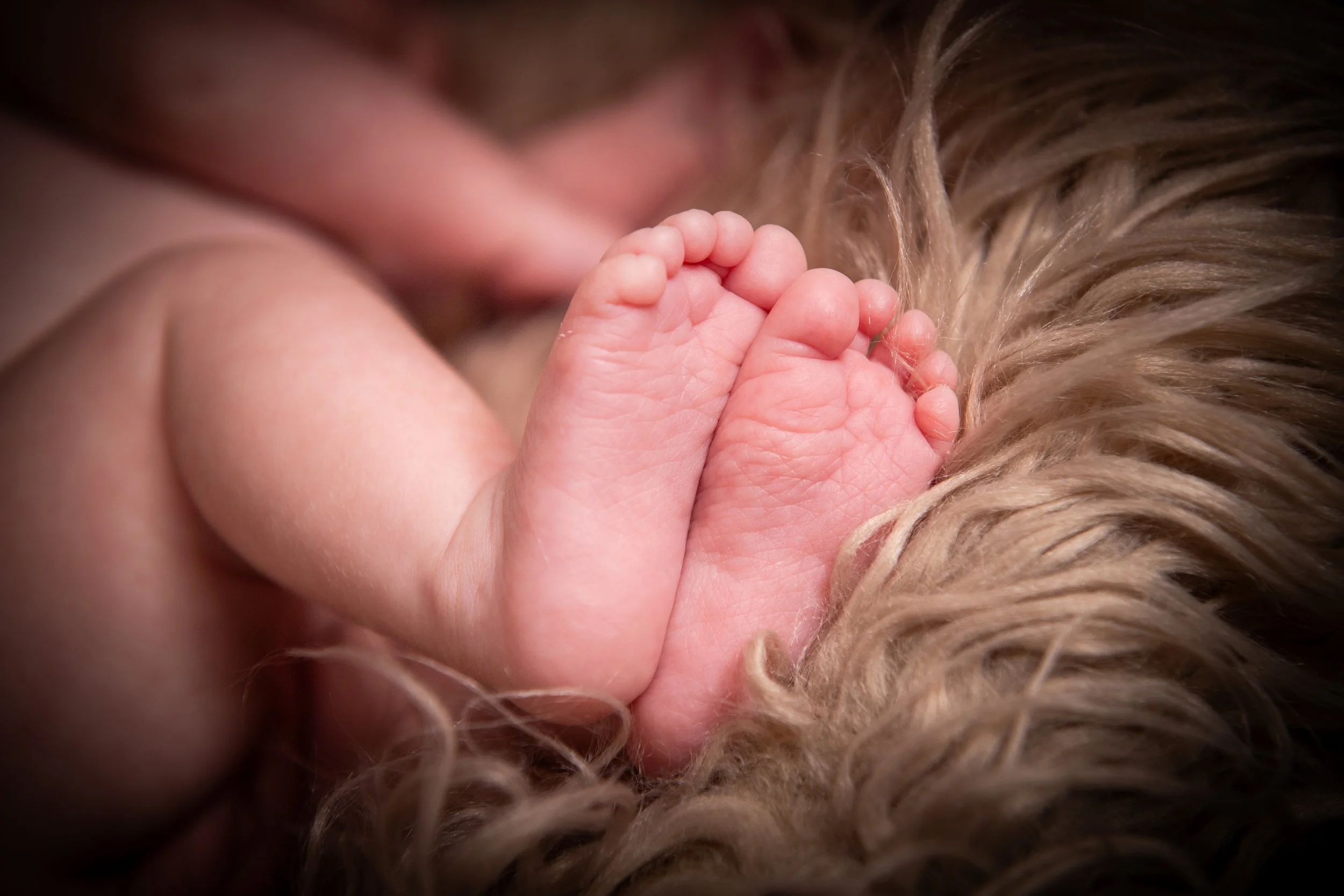 Close-up detail shot of newborn baby toes during a South Wales baby photography session