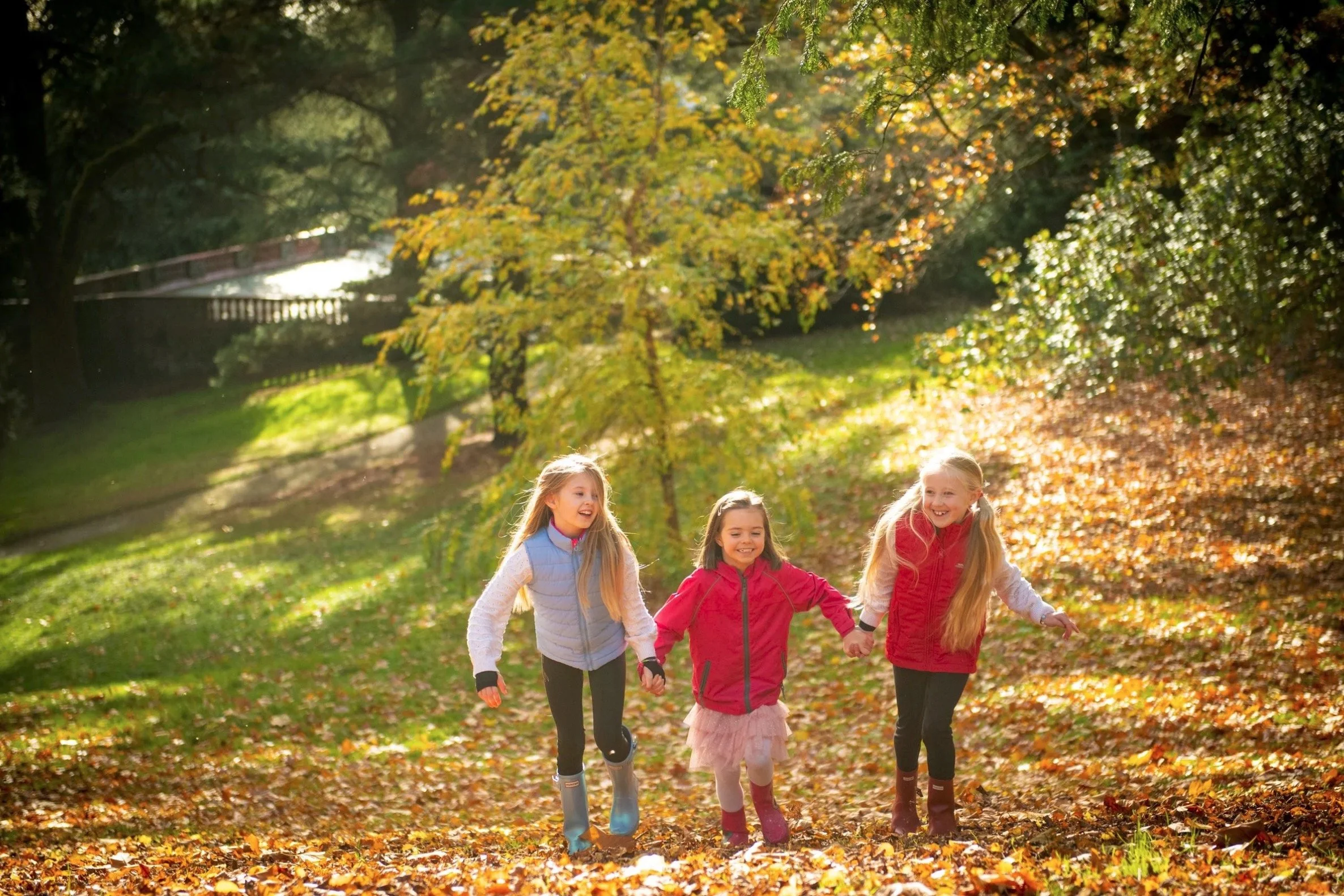 Autumn