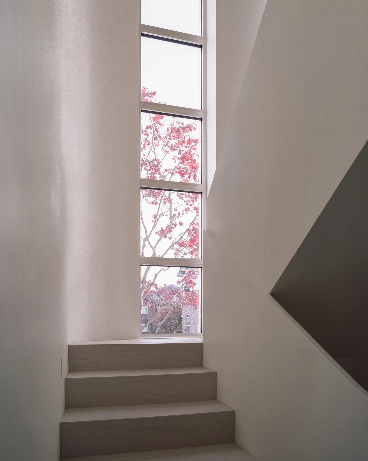 웹용_정발산동 주택 (23).jpg