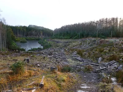 Raasay's cutting edge