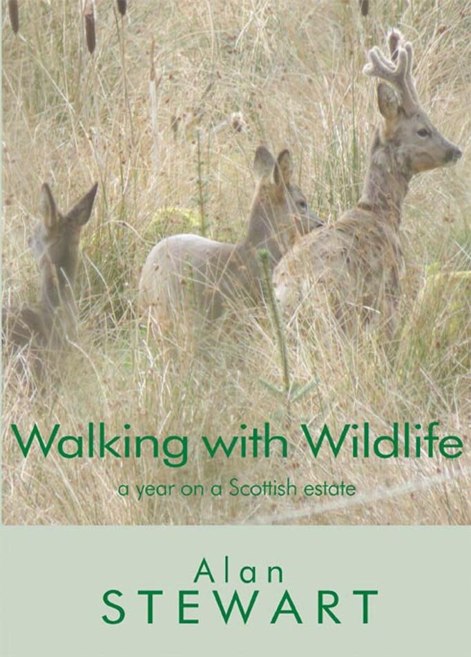 Walking with Wildlife - Alan Stewart