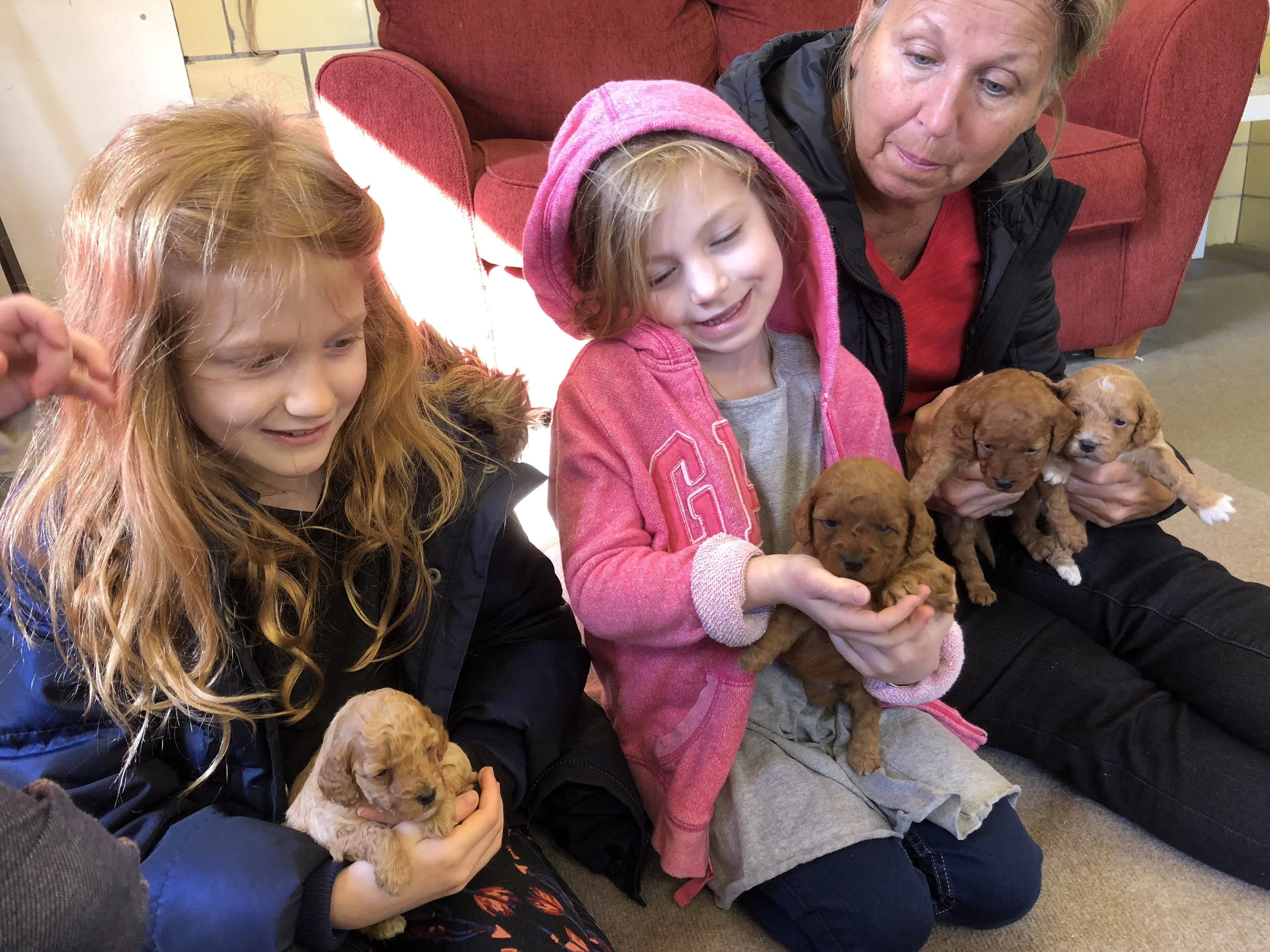 her siblings were super cuddly too