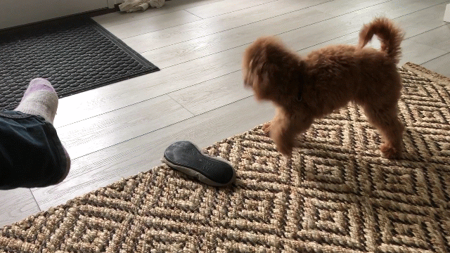 shaking to bits every evil slipper