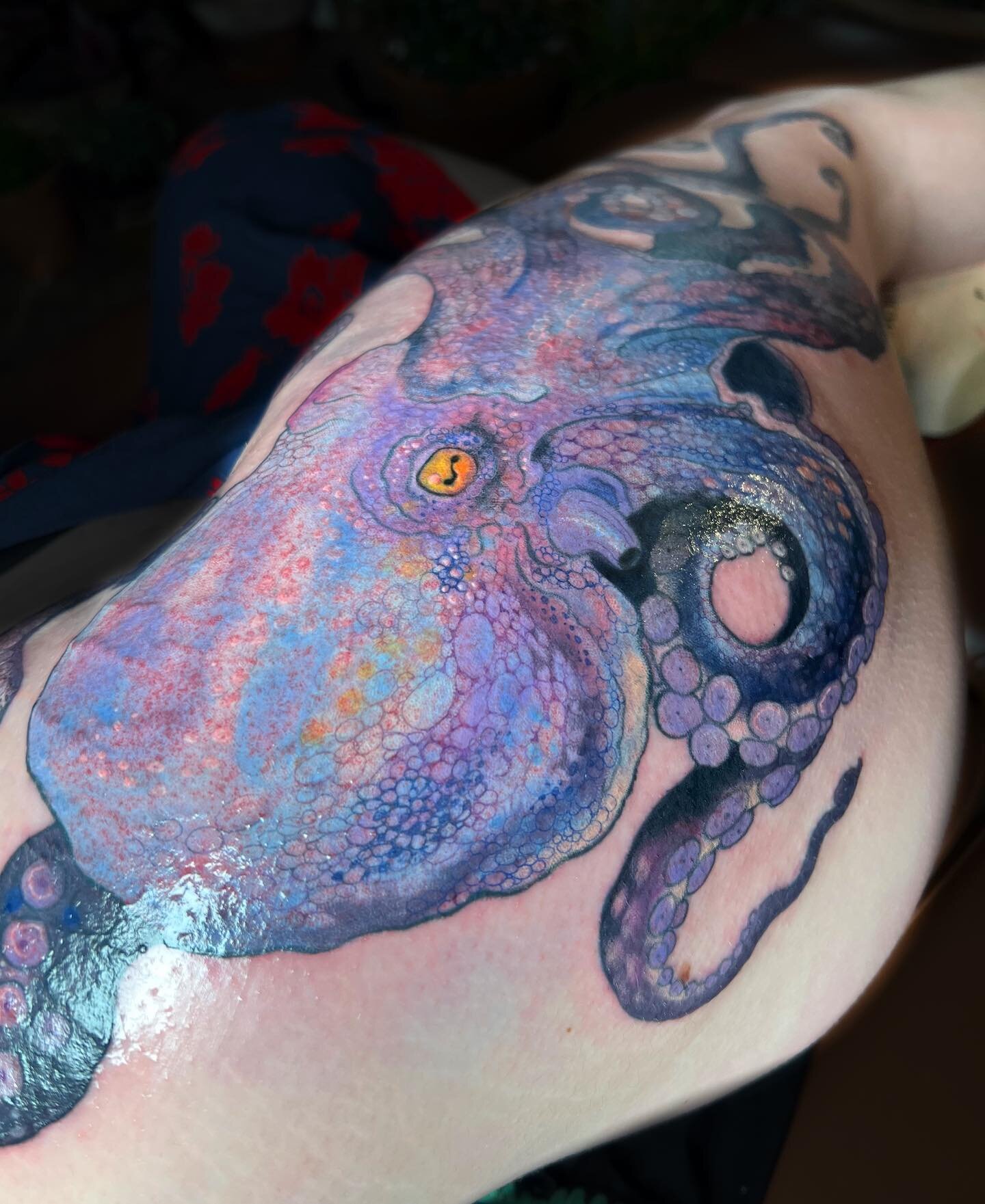 ✨Big Octopus from hip to knee. Will post more angles tomorrow✨
.
Bookings aimeetattoos@gmail.co.uk
.
#octopus #colourtattoo @barberdts @eternalink @tatsoul