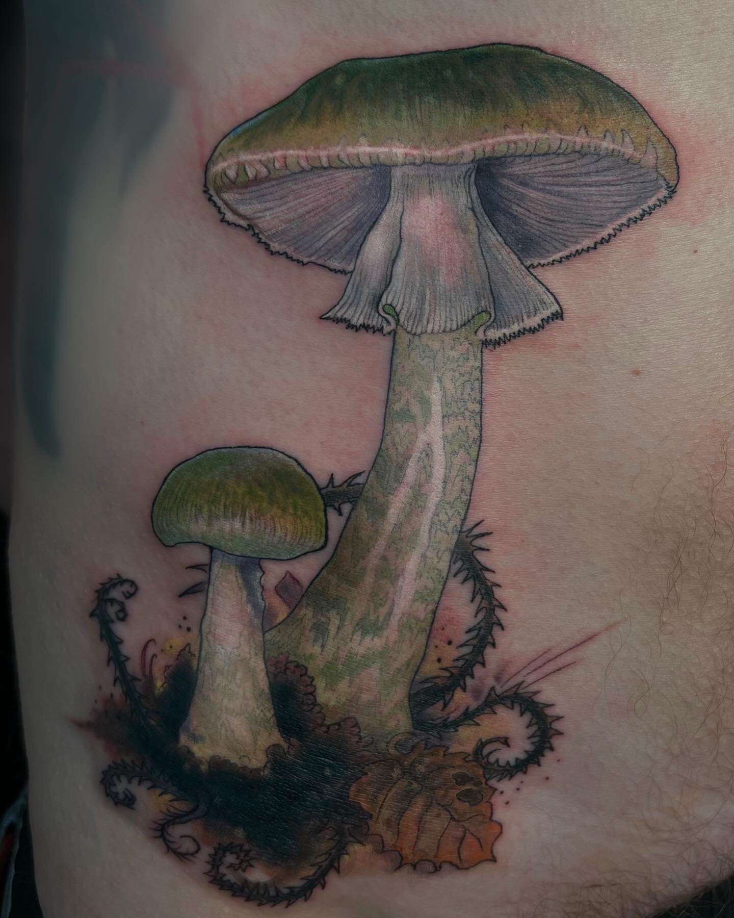 ⚡️Death cap &lsquo;Amanita phalloides&rsquo;⚡️
.
#fungi #mushroomguerrilla #tattoo