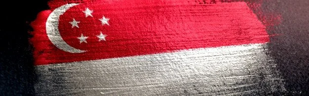 singapore-flag-made-metallic-brush-paint-grunge-dark-wall_1379-2593.jpg