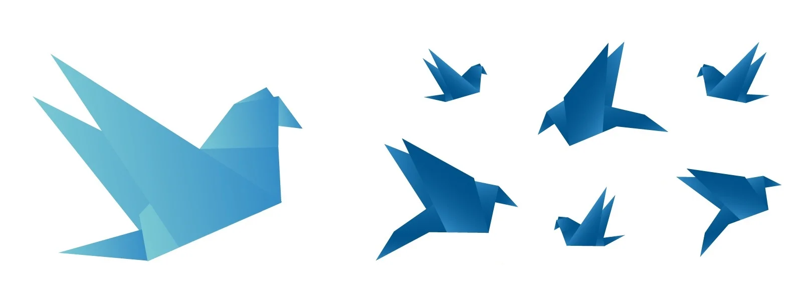 Birds.jpg