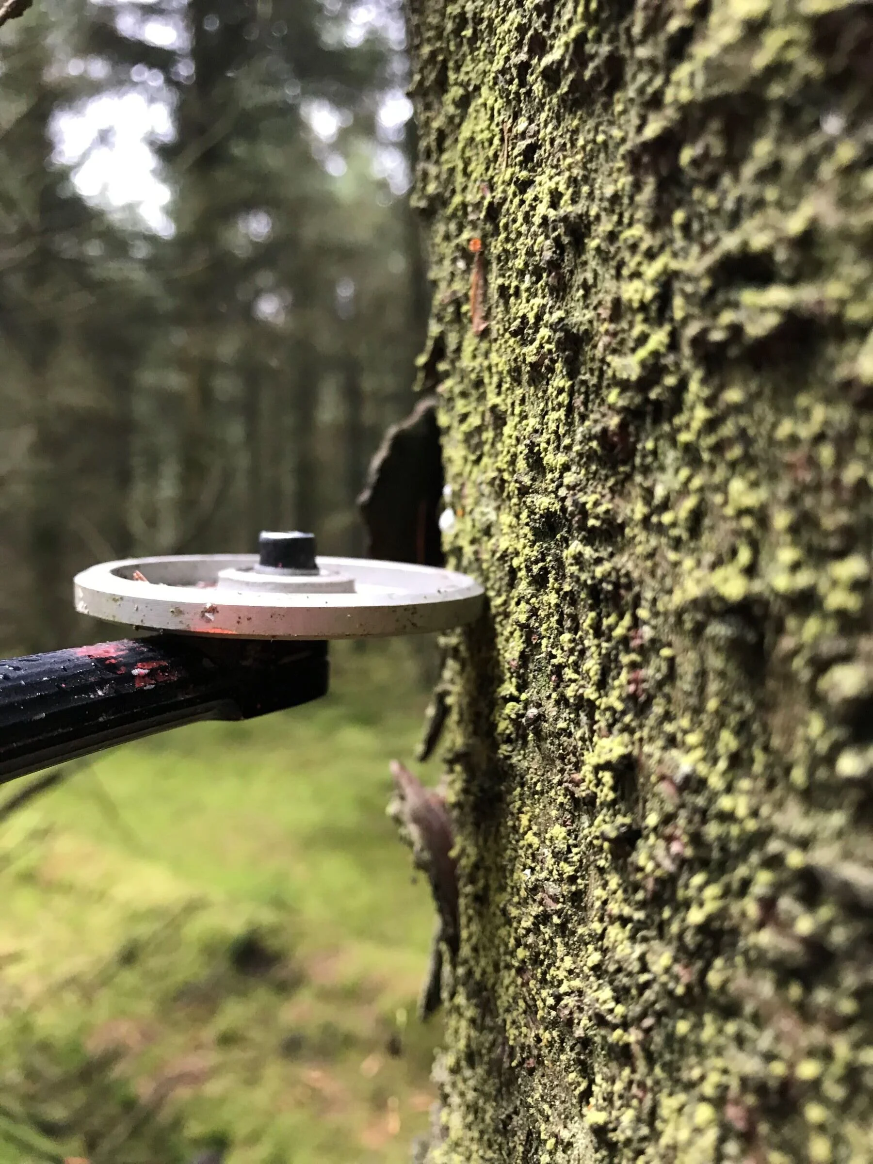 Volume Assessment Plot Survey Calliper Caliper.jpg