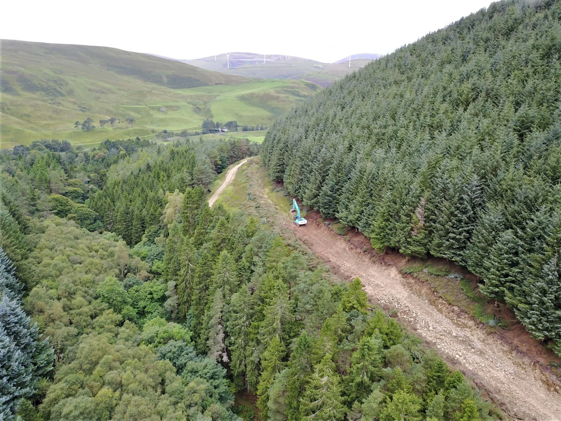 Forest road engineering roading.JPG