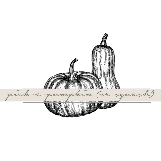 mcfmfall2018image.jpg