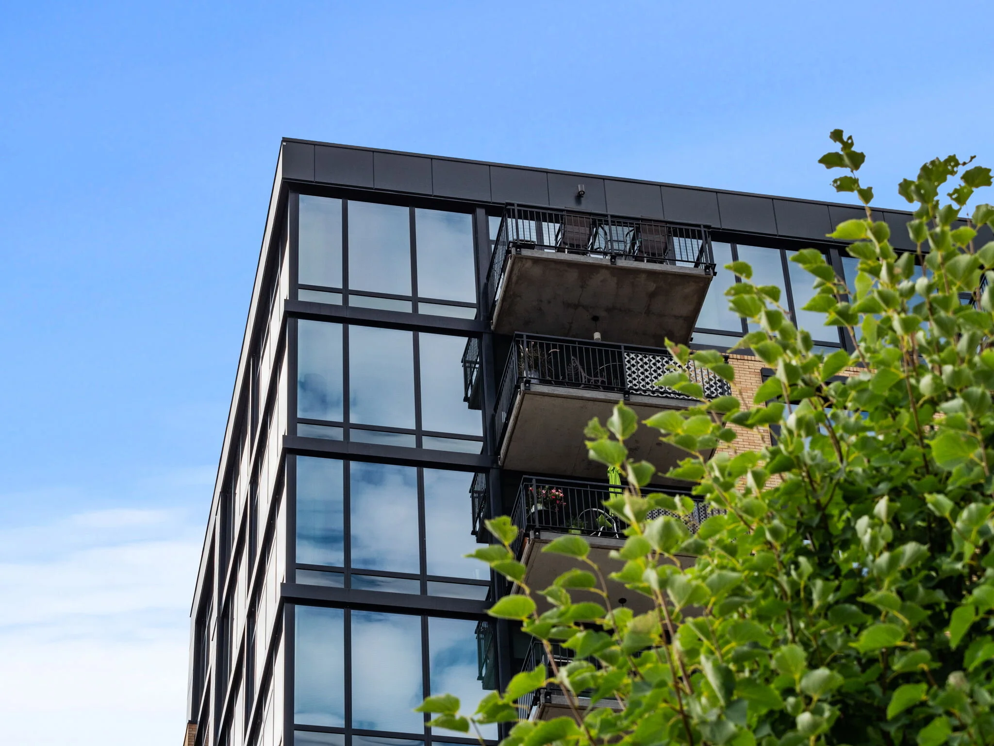 the Legacy Condos