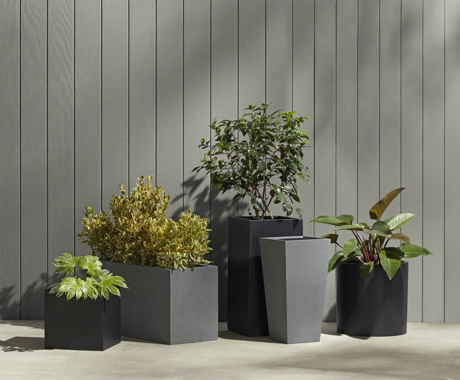 Fresh Spring Container Garden Tips
