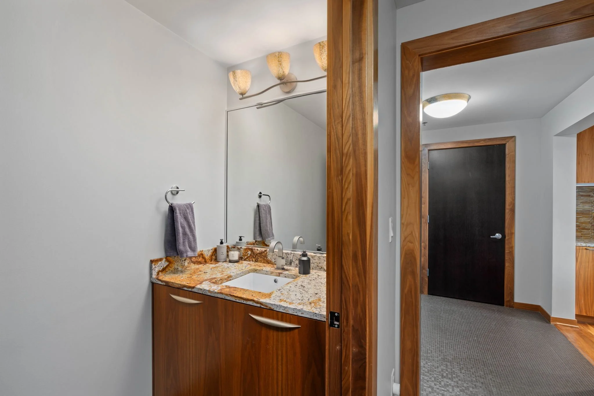 57-web-or-mls-215-10th-ave-s-910.jpg