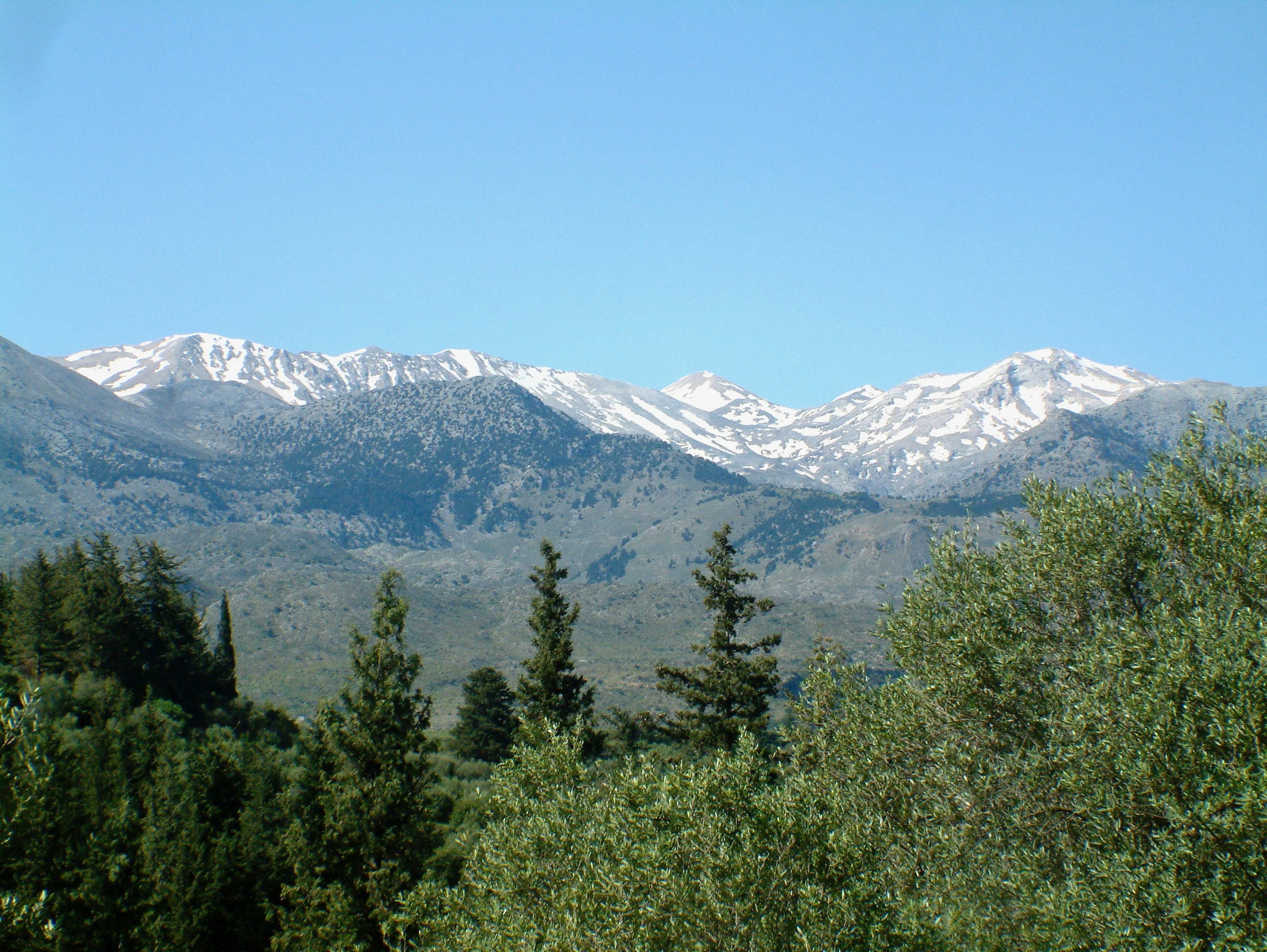 DSCF0106 2.jpg