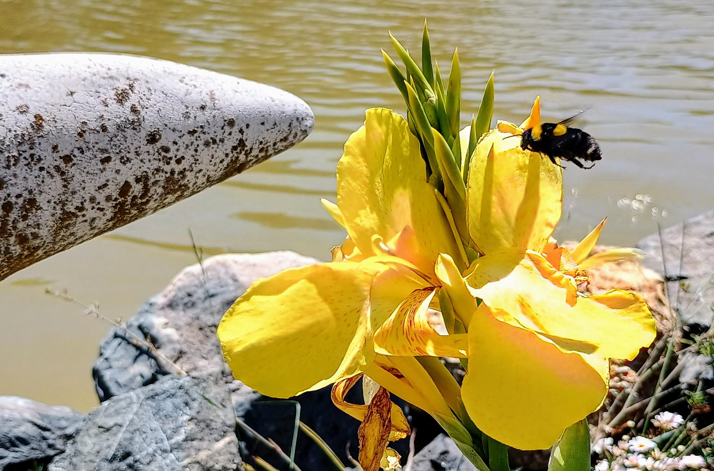 IMG_20250714_120036215_HDR~2.jpg