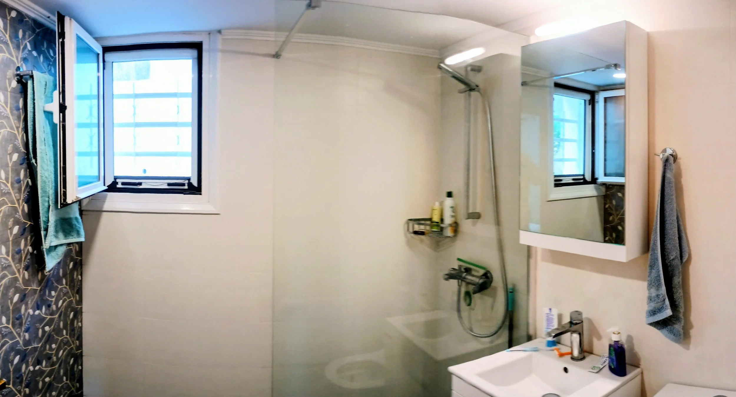 Bathroom Downstairs.jpg