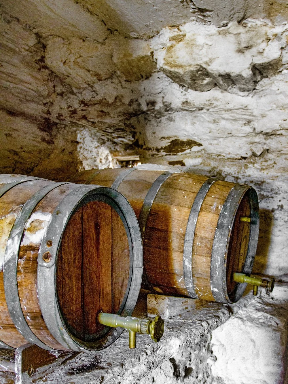 Dionysus &amp; Life By The Sea Retreat 