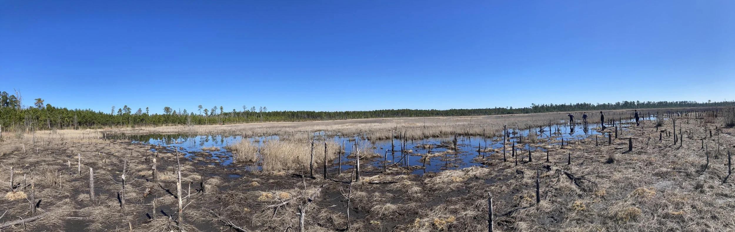 Craig's panorama PR.jpeg