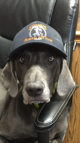 2015_dog_hat.jpg