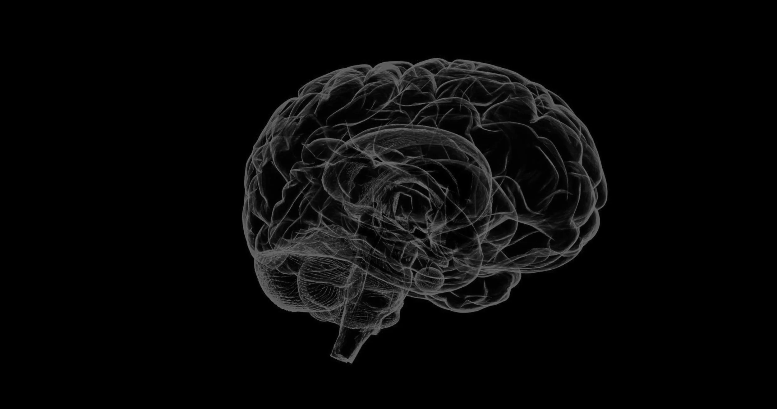 brain-1787622.jpg