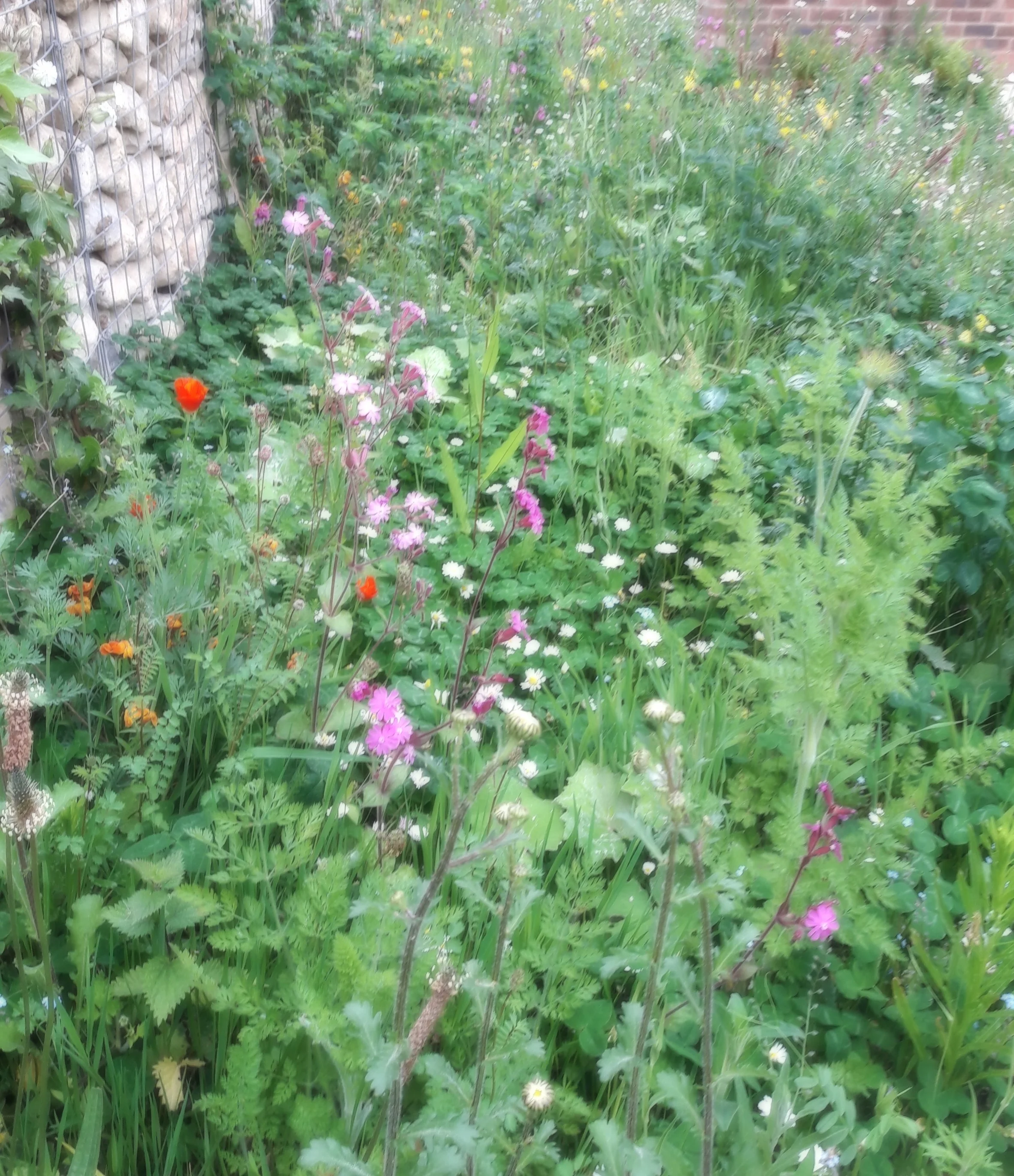 20180528_095943.jpg