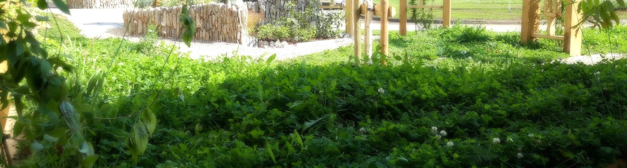 20180831_150130.jpg