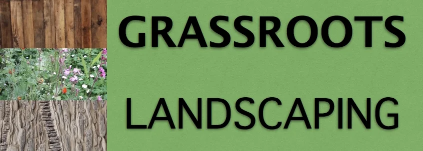 logoAAA.jpg