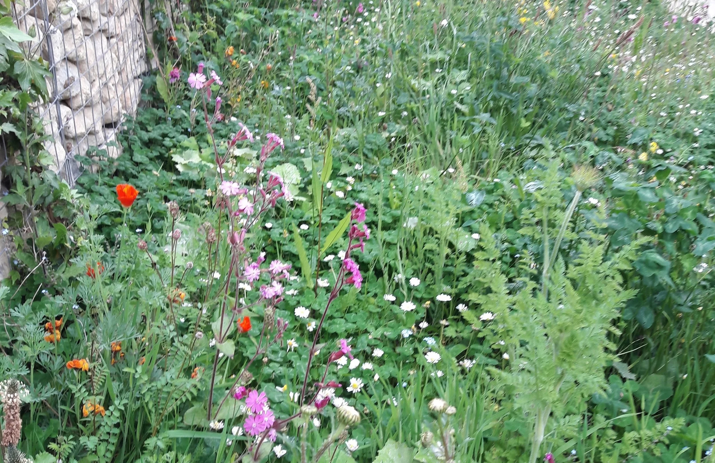 20180528_095943.jpg
