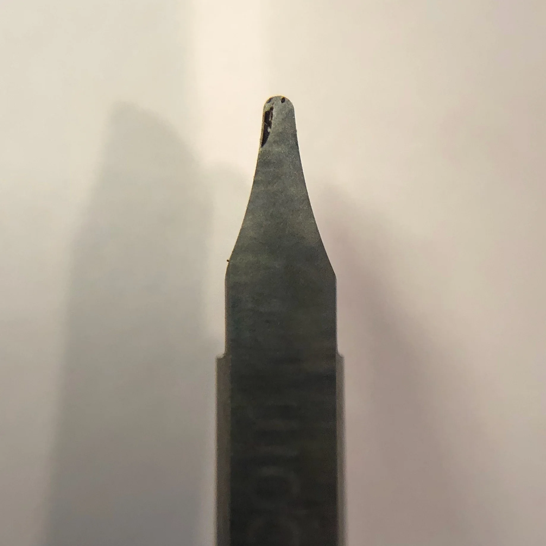 CEAA00871 2.jpg