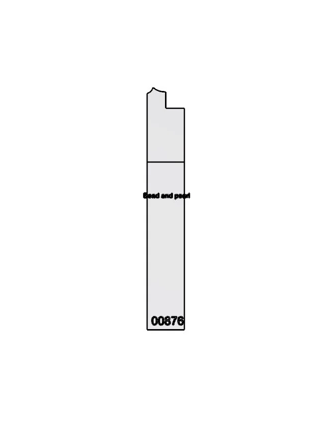 CEAA00876 1.jpg