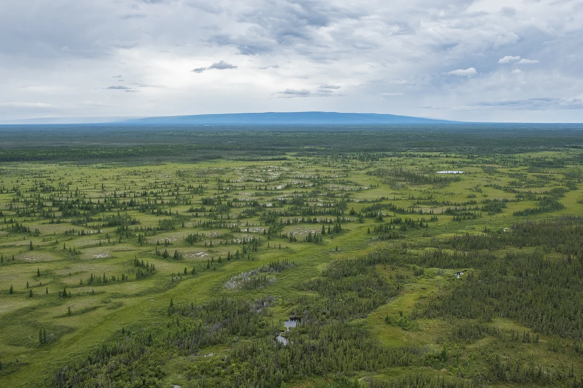 Edéhzhíe Dehcho Protected Area and National Wildlife Area (Canada)