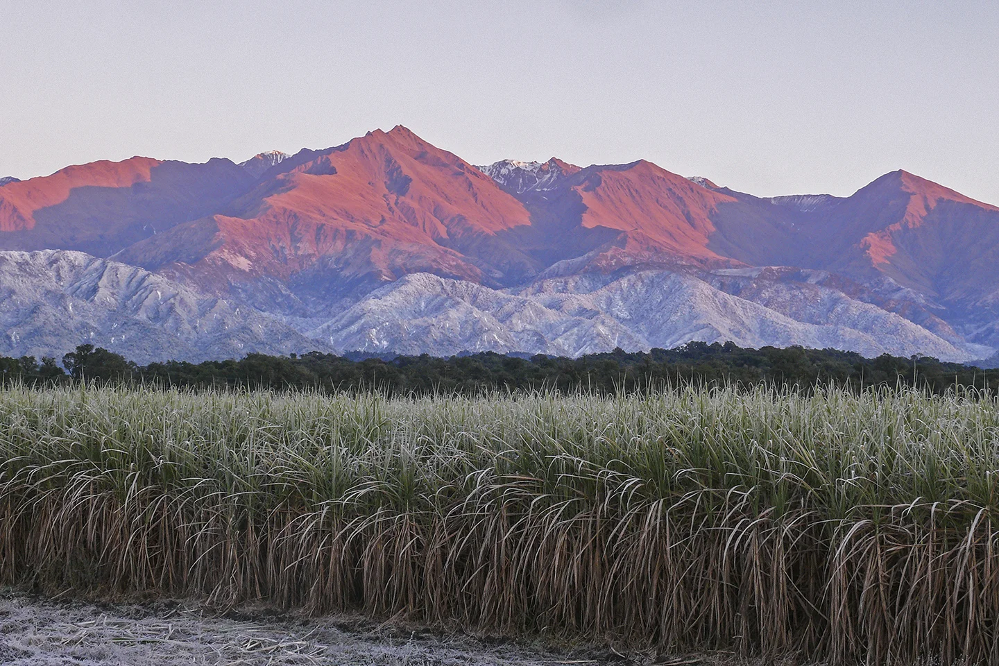 LOS NEVADOS VISTOS DESDE EL POTRERILLO.jpg