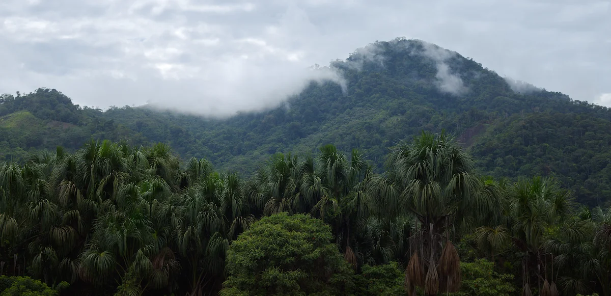 Nearly 500,000 acres permanently protected in Peru as the Boshumi Regional Conservation Area