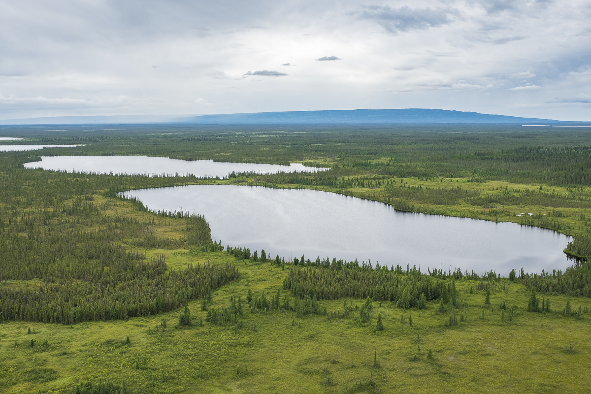 Edéhzhíe Dehcho Protected Area and National Wildlife Area | Ducks Unlimited Canada