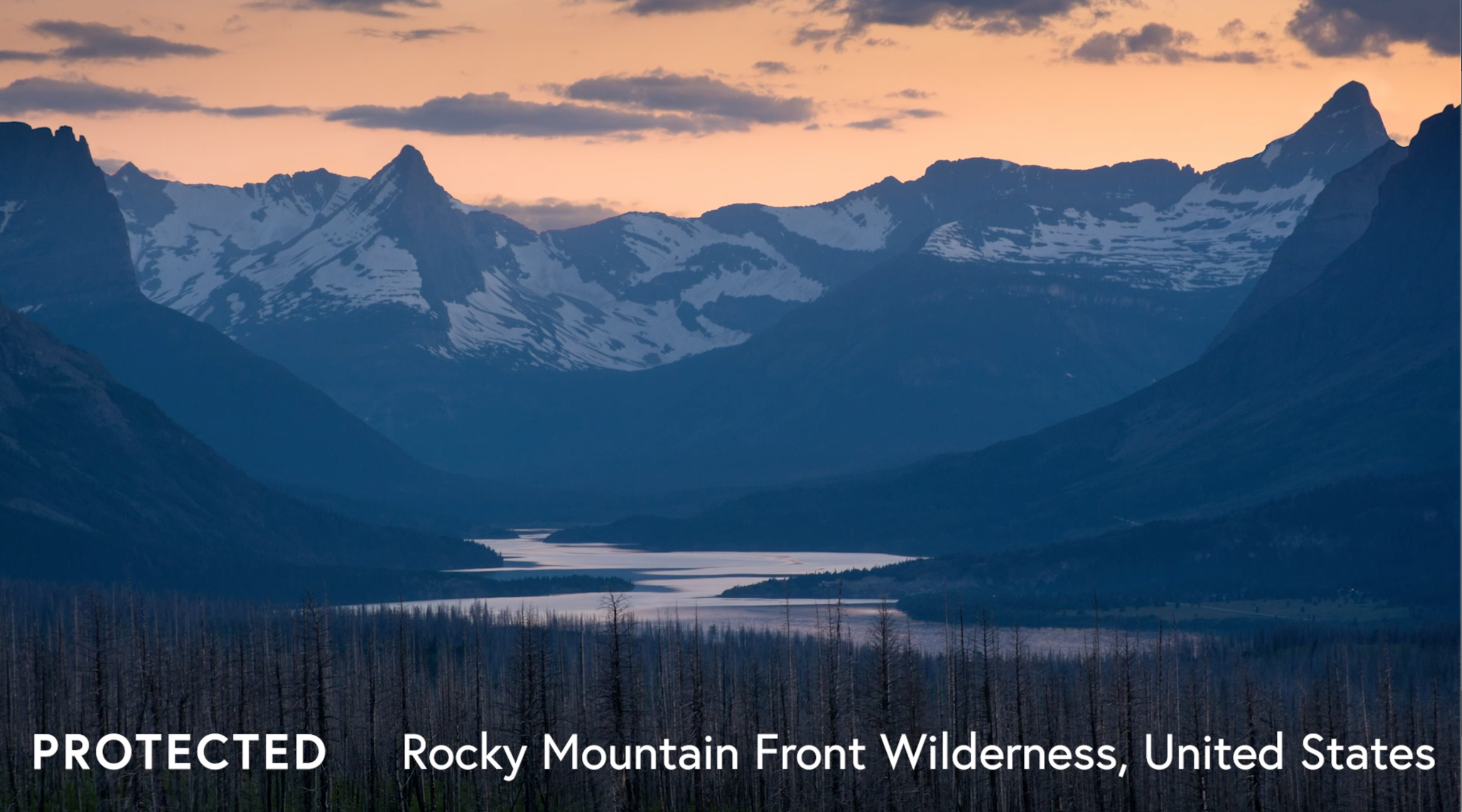 Video: How Can We Protect Our Planet? One Place at a Time.