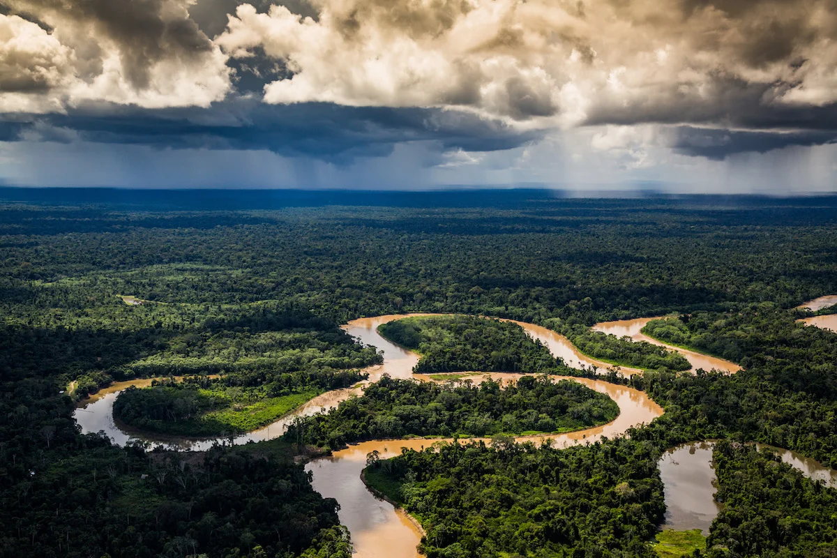 Yurúa Conservation Concession, Peru | Photo credit: Jason Houston