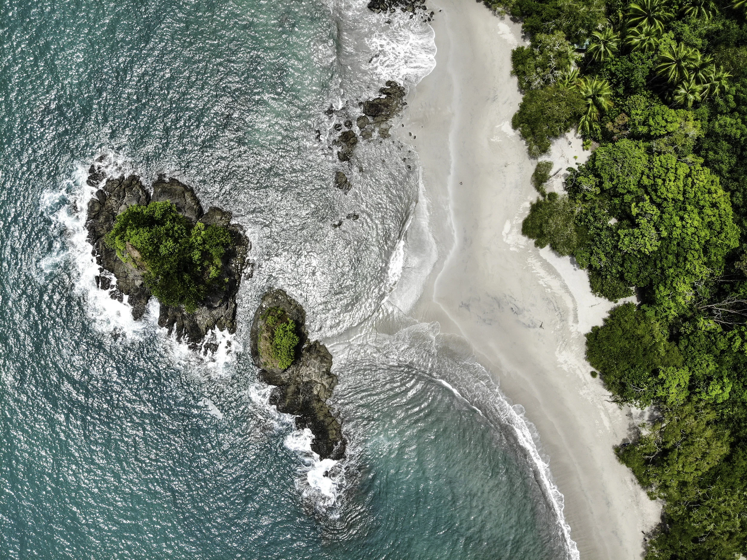 NEWS: Costa Rica calls for a Global Coalition of Champions to Protect Nature