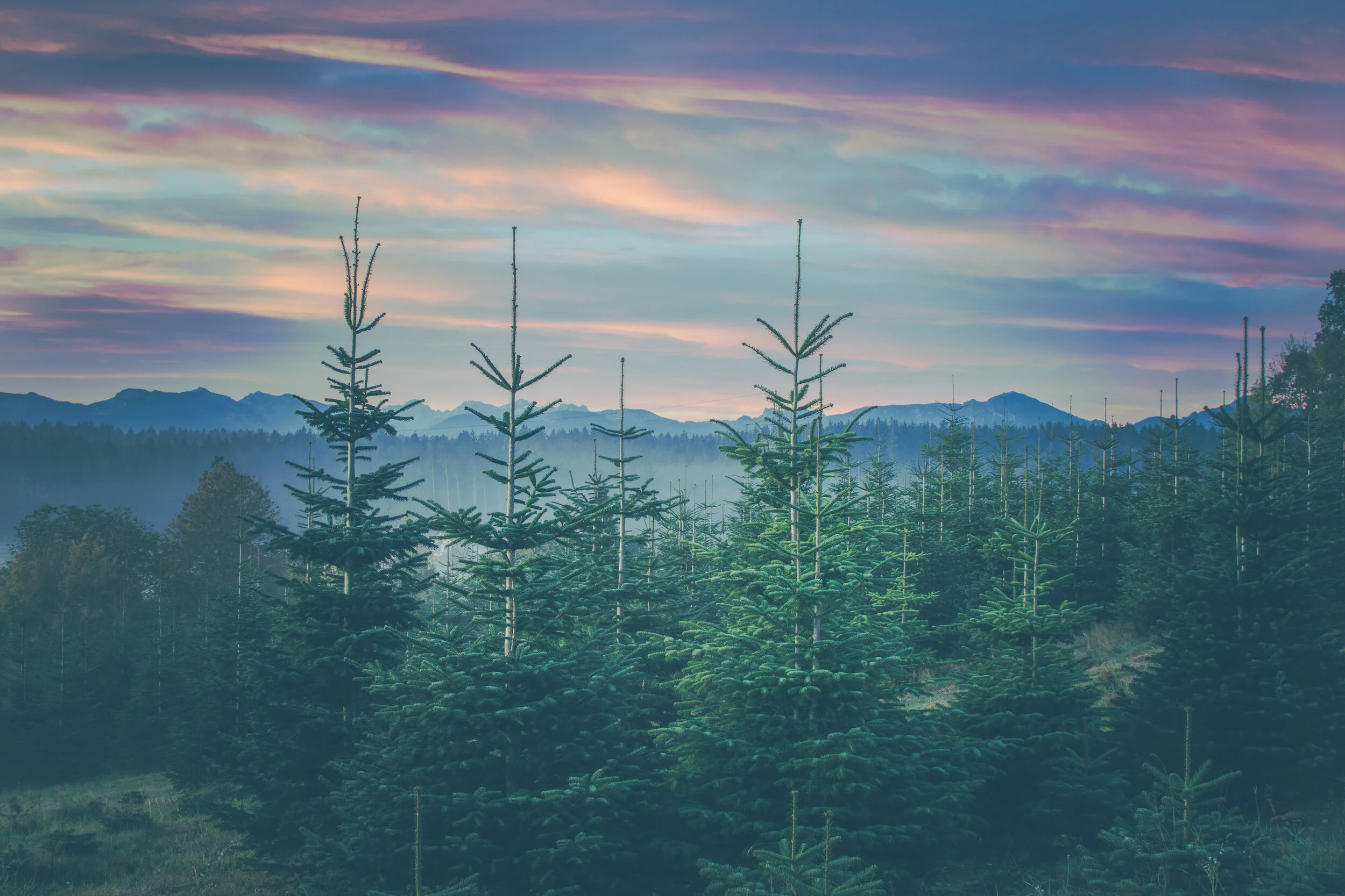 UN Convention on Biodiversity Proposes Protection of at Least 30 Percent of the Planet by 2030