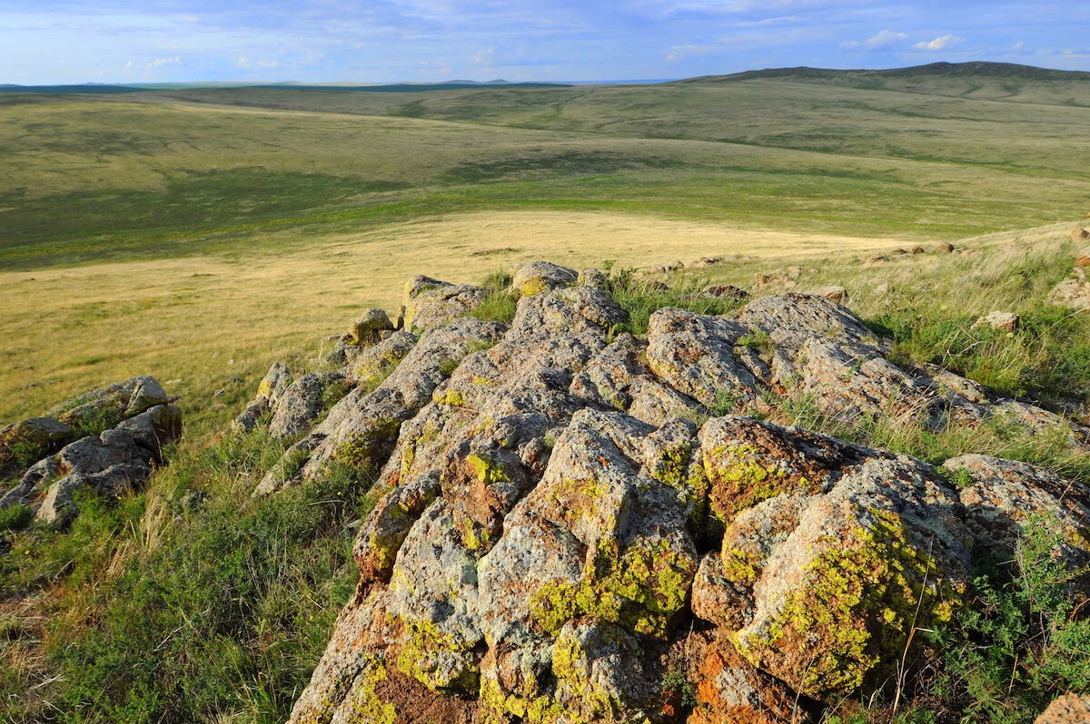Growing Mongolia’s Protected Area Estate (Mongolia)