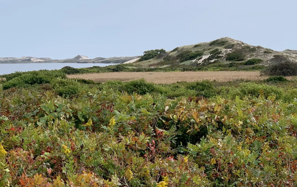 Massachusetts Non-Profit Helps Permanently Protect and Open Public Access to Important Martha’s Vineyard Property