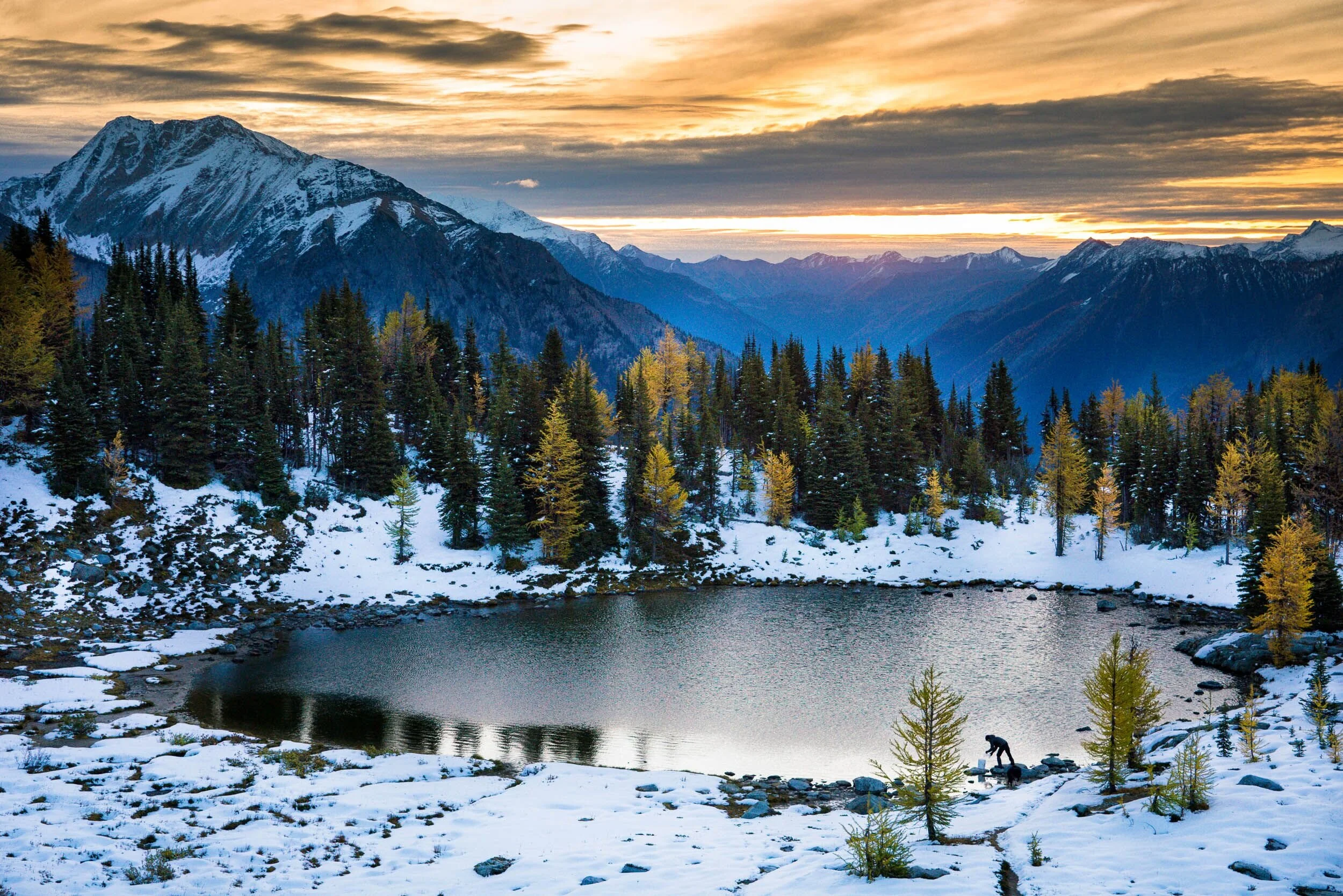 Progress Report: Two years into the Wyss Campaign for Nature