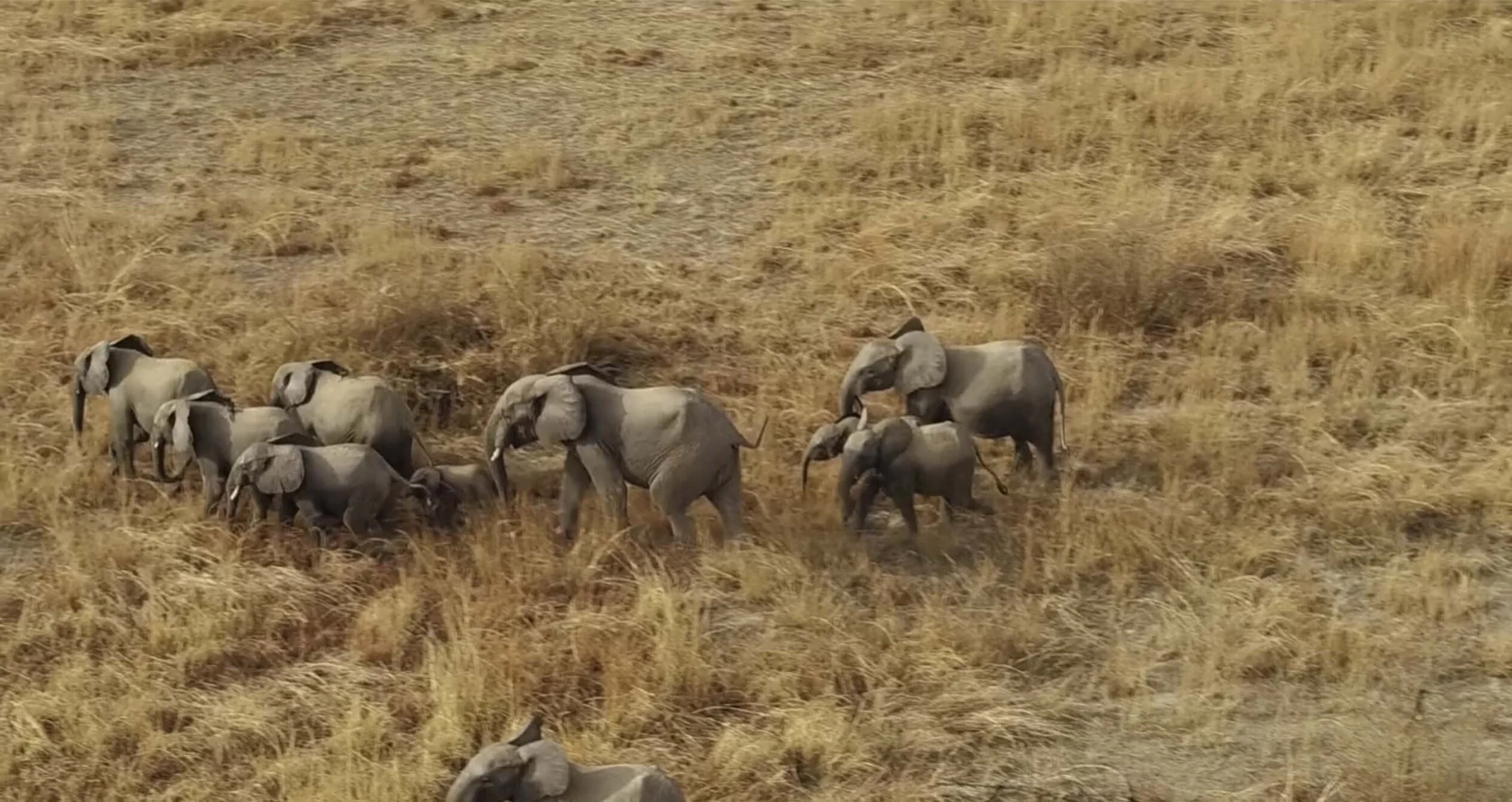 The Wyss Foundation Commits $108M to Secure Protected Areas in Africa