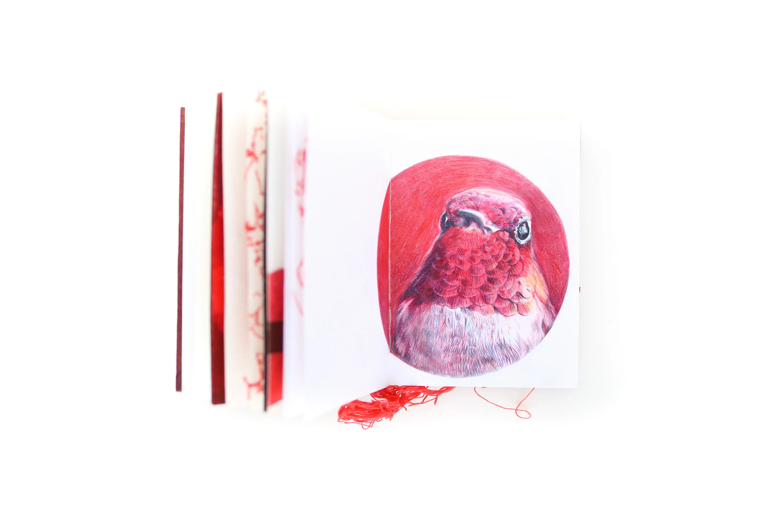 The Sketchbook Project Brooklyn Art Library The