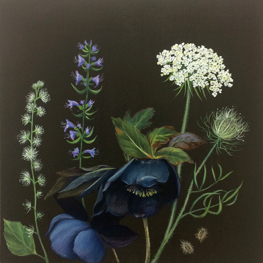    Black cohosh, black hellebore, hyssop, Queen Anne’s lace, wild carrot seeds   from “ A Primer of Flora and Fauna for Girls: What Every Girl Should Know ”  2015  Acrylic on panel  10 x 10 inches 