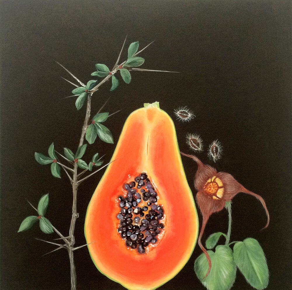    Myrrh, papaya, wild ginger flower, wild carrot seeds   from “ A Primer of Flora and Fauna for Girls: What Every Girl Should Know ”  2015  Acrylic on panel  10 x 10 inches 
