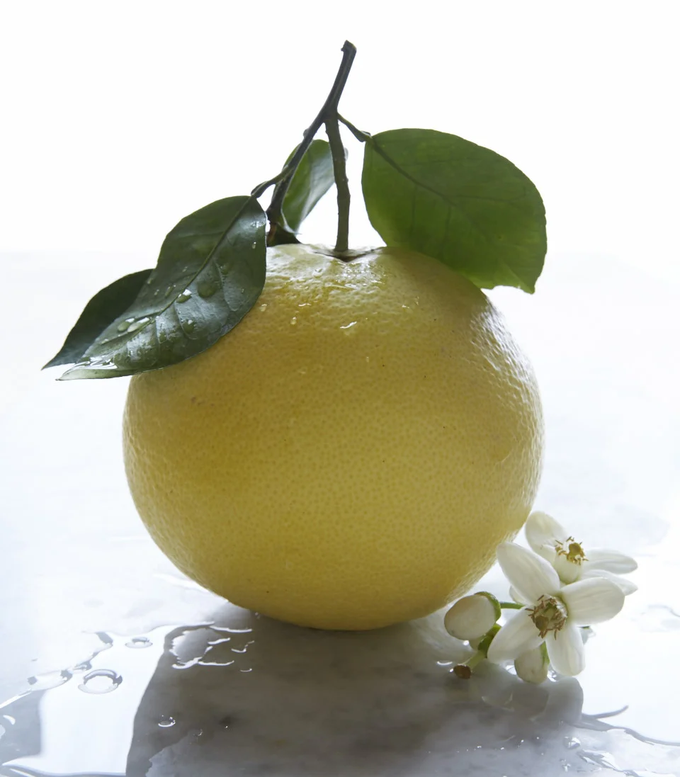 20150130_10spd-grapefruitsingle-citrus_0048.jpg